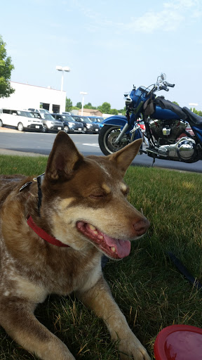 Car Dealer «Prestige Kia», reviews and photos, 3525 WI-93 Trunk, Eau Claire, WI 54701, USA