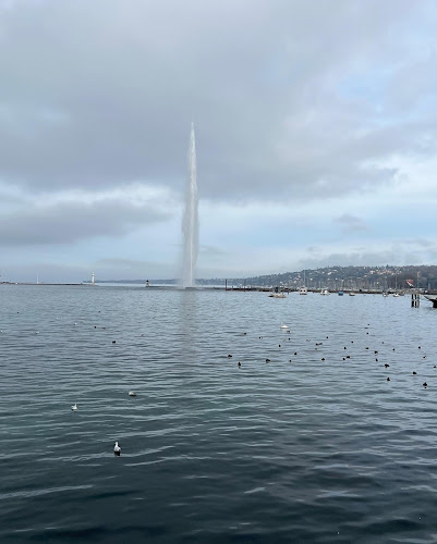 Rezensionen über Fountain du Perron in Genf - Andere