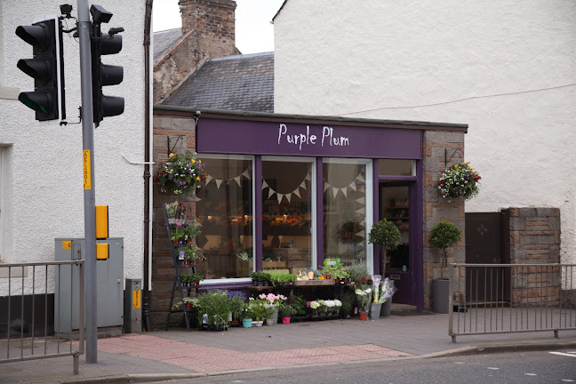 Purple Plum - Supermarket