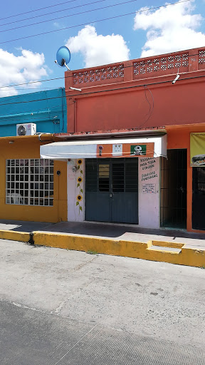 Florería Los Girasoles – Jalpa de Méndez