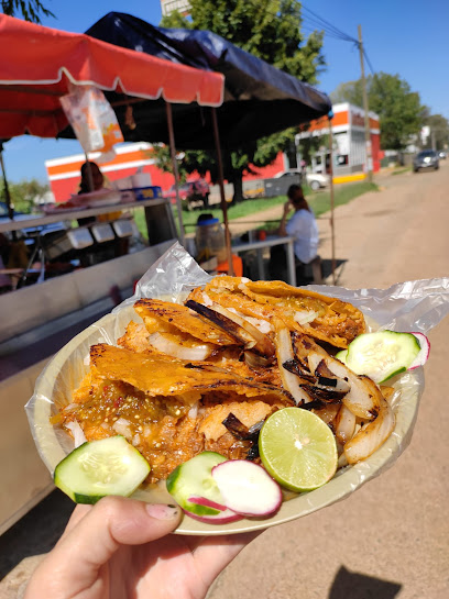 Tacos de Barbacoa El Jardin - 47180, Ocampo 11, Hacienda Palomino, Arandas, Jal., Mexico