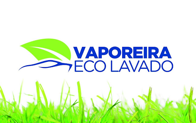 Vaporeira EcoLavado - Servicio de lavado de coches