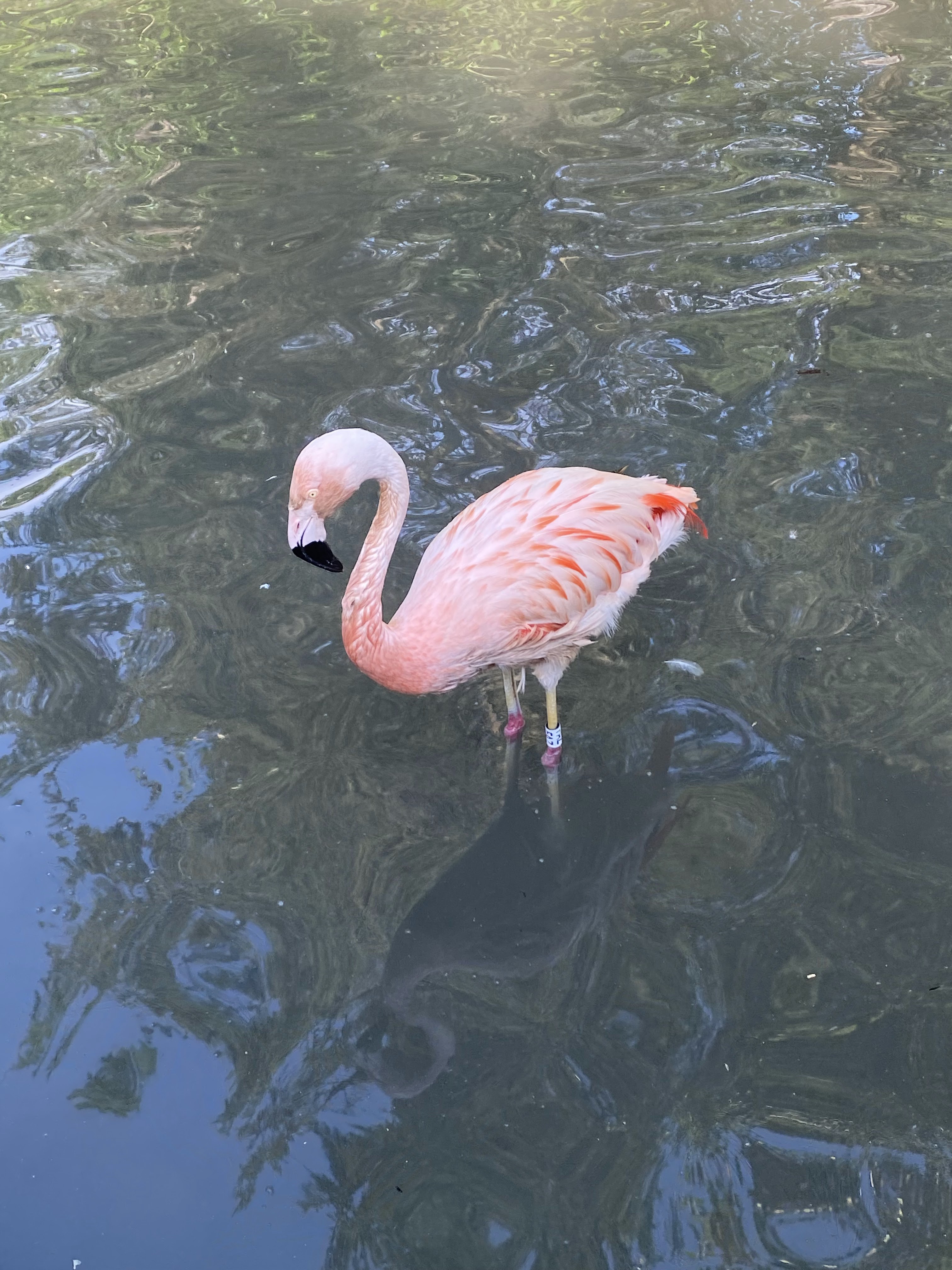 Photo n° 41 de l'avis de Mickael.e fait le 11/08/2023 à 05:54