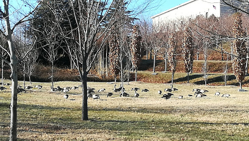 Museum «The George Washington Masonic National Memorial», reviews and photos, 101 Callahan Dr, Alexandria, VA 22301, USA