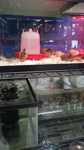 Pet Store «Gills And Thrills Pet Shop», reviews and photos, 204 E 8th St, Lockport, IL 60441, USA