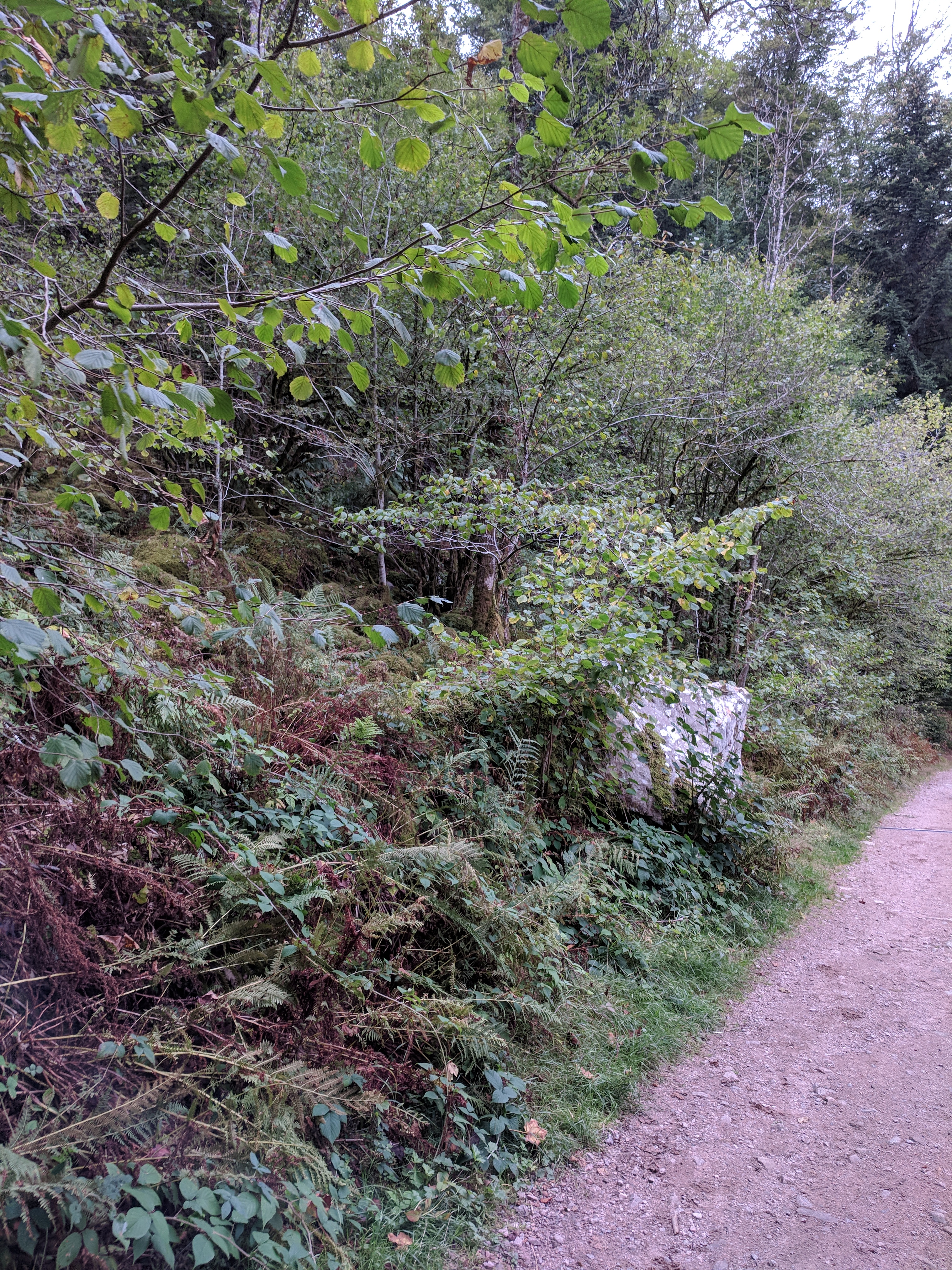 Photo n° 6 de l'avis de LAMBERT.r fait le 27/08/2018 à 11:58
