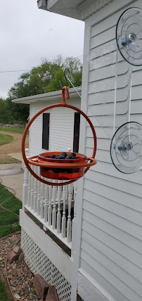 Wild Bird Connection - Photo 6 - Car repair in Sioux Falls, SD, Sioux Falls