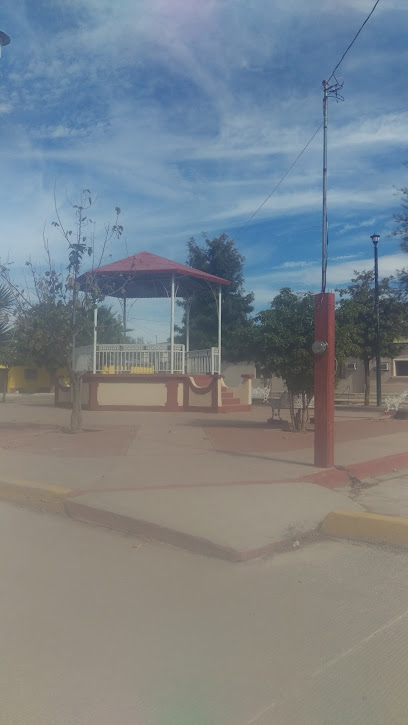 Suaqui Grande Municipality - 85594 Sonora, Mexico