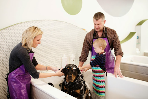 Bubbly Paws Dog Wash & Grooming, 949 Grand Ave, St Paul, MN 55105, USA, 