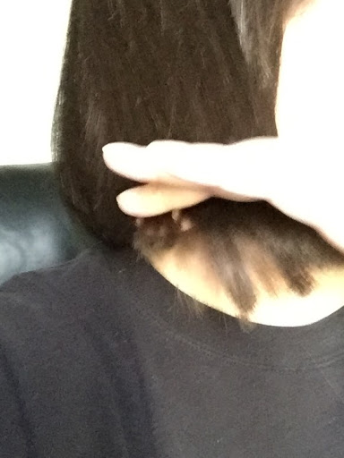 Hair Salon «Great Clips», reviews and photos, 360 Rohnert Park Expy, Rohnert Park, CA 94928, USA