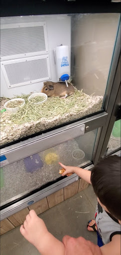 Pet Supply Store «Petco Animal Supplies», reviews and photos, 353 Harrison Bridge Rd, Simpsonville, SC 29680, USA