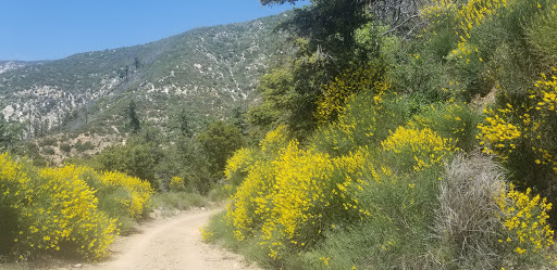 Observation Deck «Inspiration Point», reviews and photos, Echo Mountain (Mount Lowe Railroad Trail), Altadena, CA 91001, USA