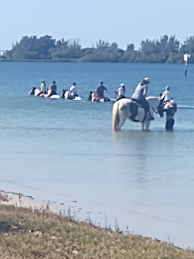 Horseback Riding Service «BeachHorses.com», reviews and photos, 8400 Manatee Ave W, Bradenton, FL 34209, USA