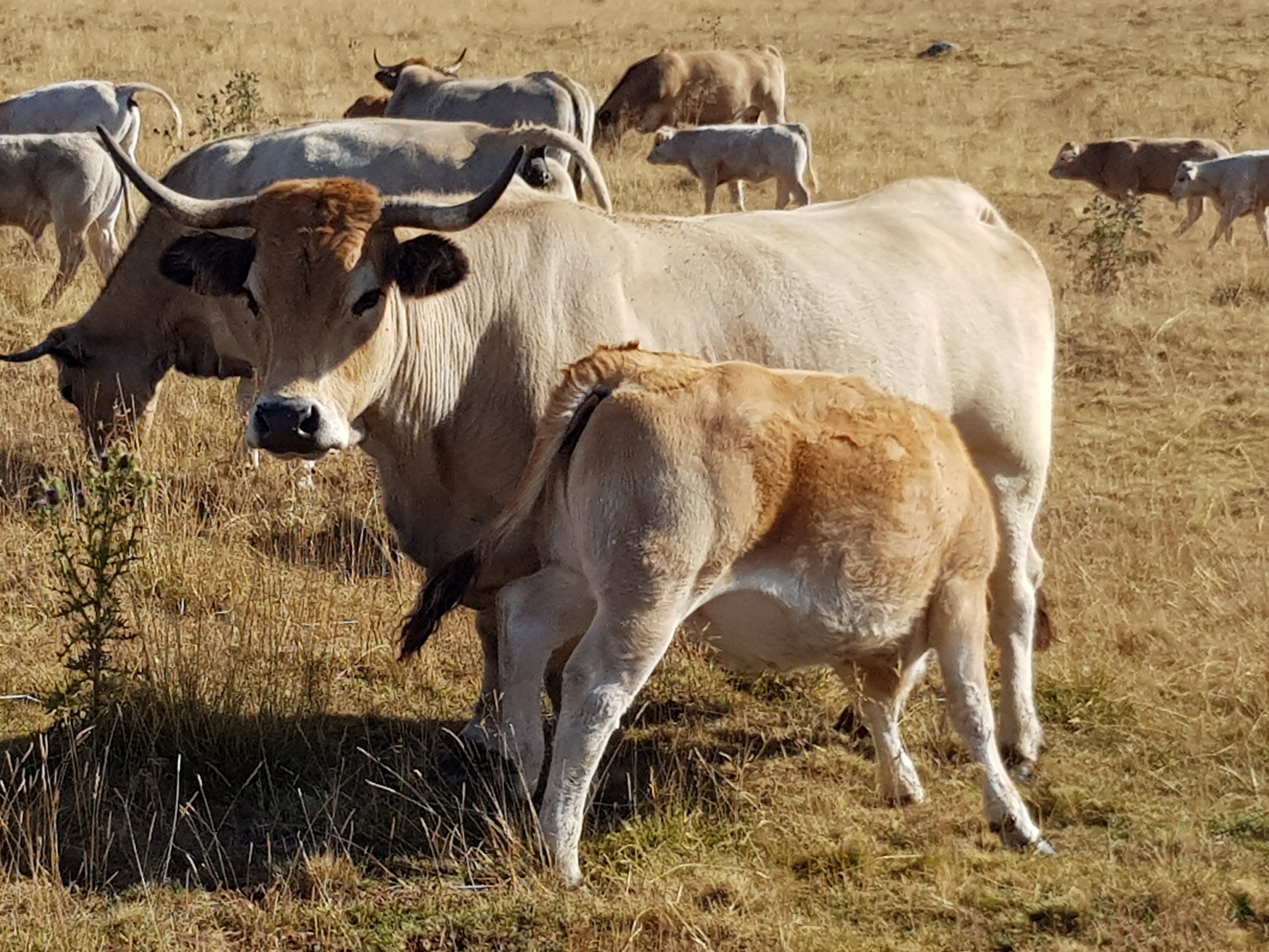Photo n° 3 de l'avis de Dany.u fait le 25/08/2020 à 15:46