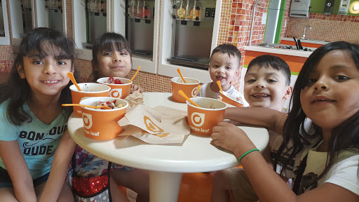 Ice Cream Shop «Orange Leaf Frozen Yogurt», reviews and photos, 119 SW Loop 410 #208, San Antonio, TX 78245, USA