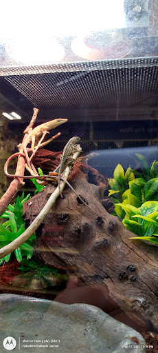 Pet Supply Store «PetSmart», reviews and photos, 8014 Old Carriage Ct, Shakopee, MN 55379, USA