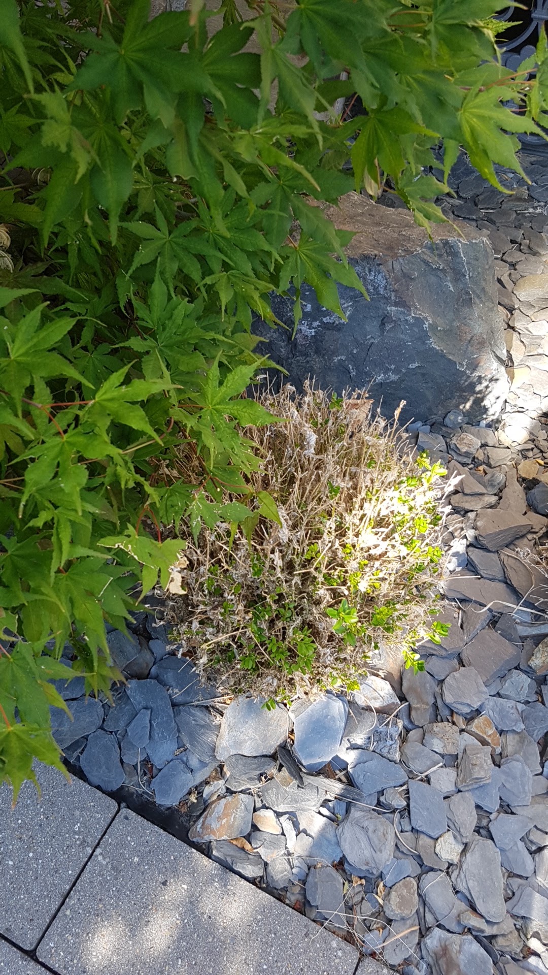 Photo n° 47 de l'avis de hugo.l fait le 20/08/2018 à 15:25