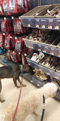 Pet Supply Store «Petco Animal Supplies», reviews and photos, 239 Newburyport Turnpike, Topsfield, MA 01983, USA