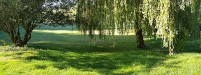 entre Saule et Lilas à Villard-de-Lans