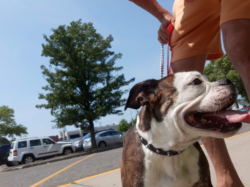 Pet Supply Store «Petco Animal Supplies», reviews and photos, 346 NY-25A #140, Rocky Point, NY 11778, USA