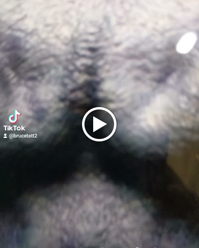 Explore good cover up tattoos ideas, creative tattoo ideas in Jackson, available at Zero Regrets Tattoo and Piercing