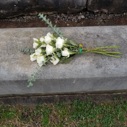 Monument «Meriwether Lewis Monument», reviews and photos, Old Natchez Trace, Hohenwald, TN 38462, USA