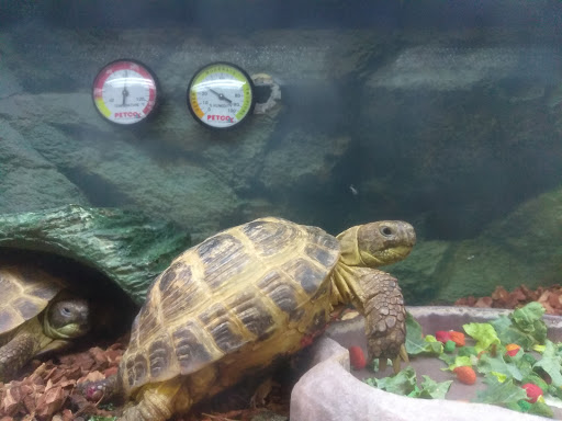 Pet Supply Store «Petco Animal Supplies», reviews and photos, 891 NE D St, Grants Pass, OR 97526, USA