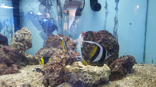 Pet Store «Fish Aquariums & Stuff», reviews and photos, 6112 W Fairview Ave, Boise, ID 83704, USA