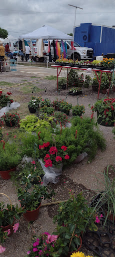 Flea Market «The Mission Market Open Air Market», reviews and photos, 207 W Chavaneaux Rd, San Antonio, TX 78221, USA