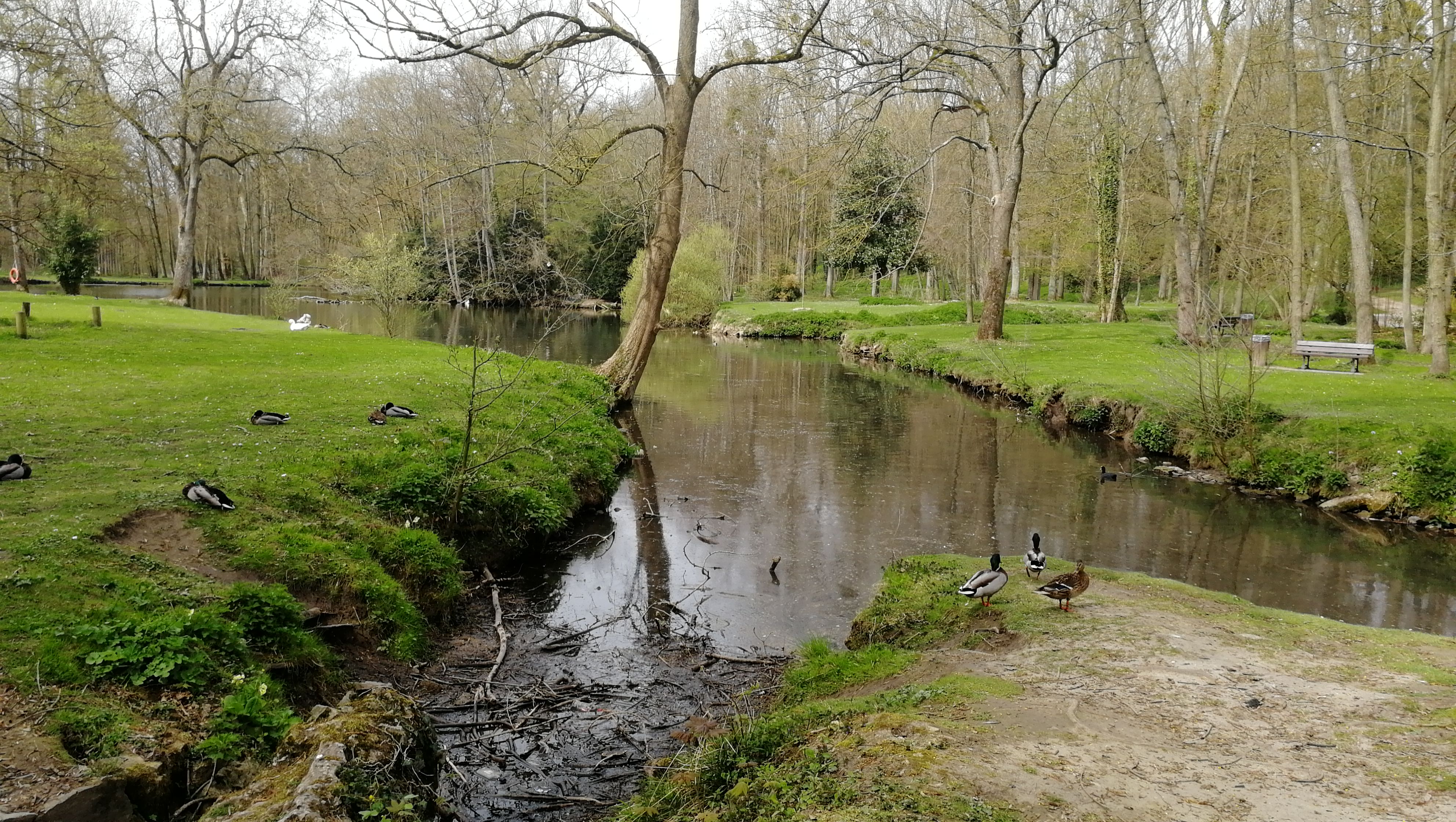 Photo n° 3 de l'avis de Yann.t fait le 07/04/2019 à 18:56