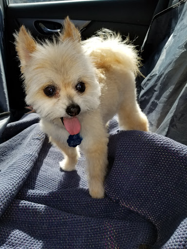 Pet Supply Store «Pet Evolution - Pet Food | Dog Wash | Grooming», reviews and photos, 429 Commerce Dr, Woodbury, MN 55125, USA