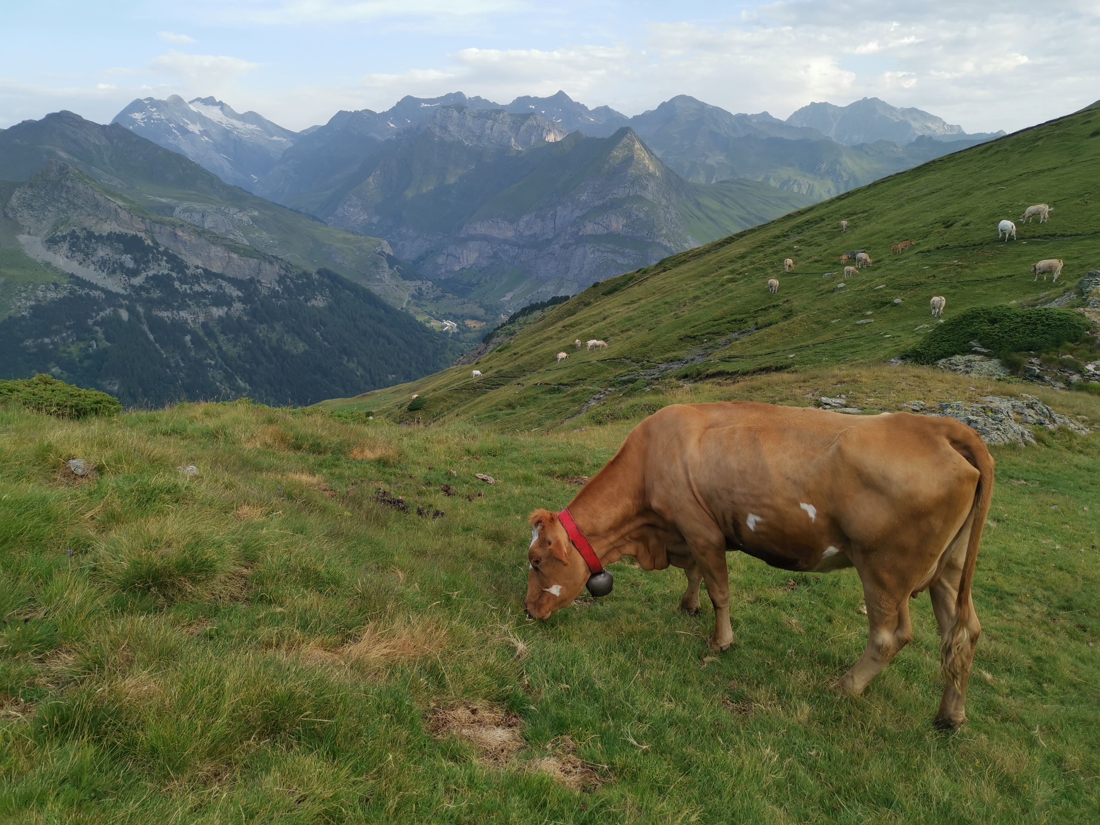 Photo n° 2 de l'avis de C. fait le 26/07/2020 à 18:28