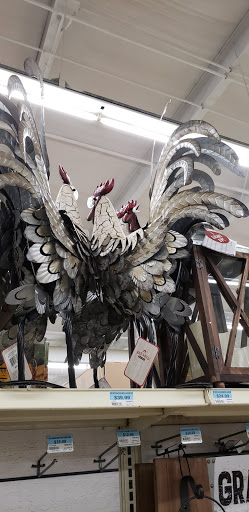 Home Improvement Store «Tractor Supply Co.», reviews and photos, 135 John R Rice Blvd, Murfreesboro, TN 37129, USA