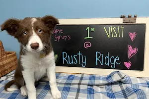 Rusty Ridge Animal Center - Veterinary Hospital & Luxury Pet Lodging/Daycare image