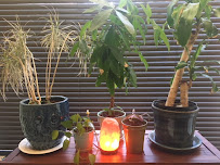 Seattle Fertility Acupuncture- West Seattle - Photo 3 - Car repair in Seattle, WA, Seattle