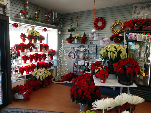 Florist «Lollipops & Roses Florist», reviews and photos, 450 Salem St, Medford, MA 02155, USA