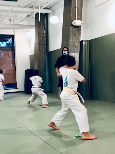 Martial Arts School «EvolveAll - Training Arts Center, Arlington VA», reviews and photos, 5818 Seminary Rd, Falls Church, VA 22041, USA