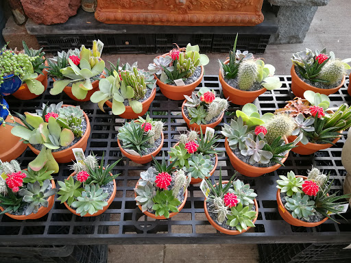 Florist «Metropolitan Plant & Flower Exchange Inc.», reviews and photos, 2125 Fletcher Ave, Fort Lee, NJ 07024, USA