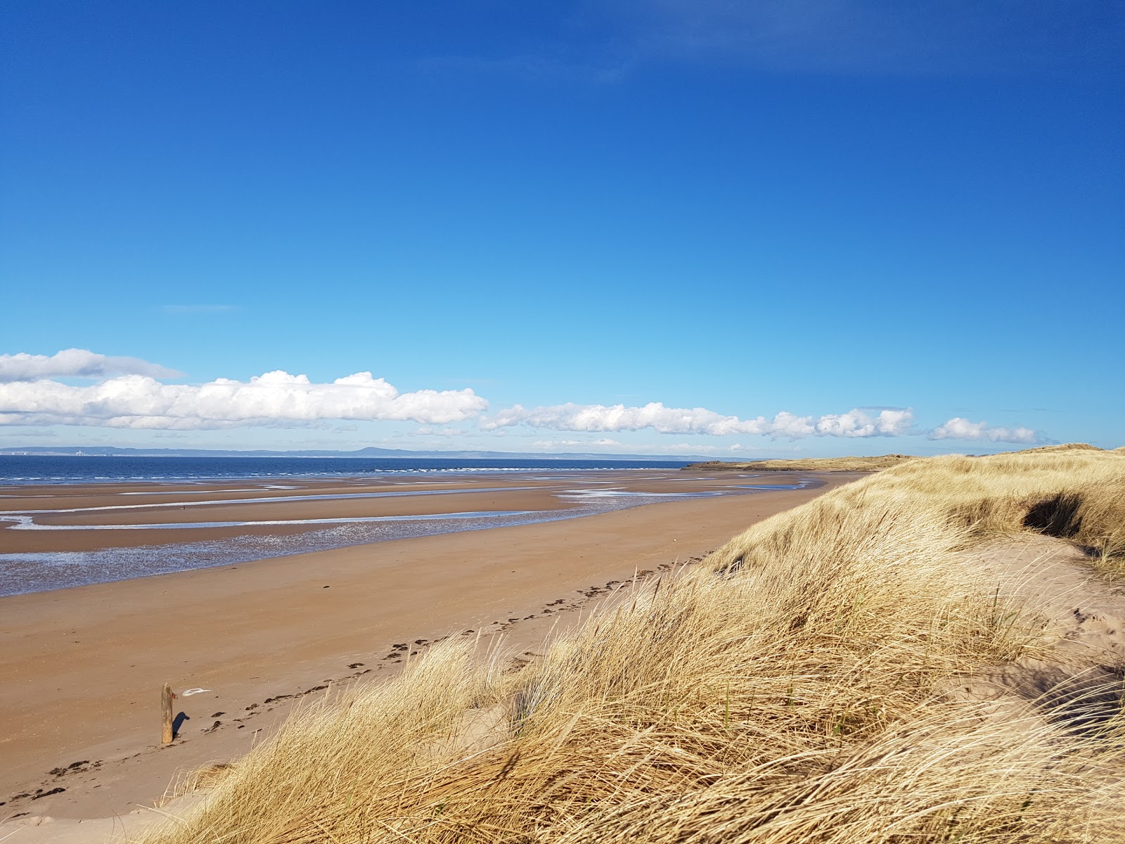 Photo of Seton Sands Beach with long straight shore