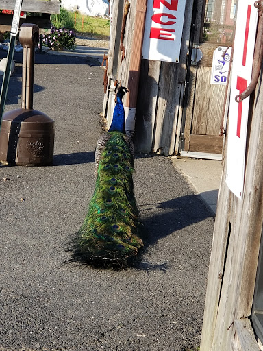 Liquor Store «Liquor Barn», reviews and photos, 1051 Florence Columbus Rd a, Bordentown, NJ 08505, USA