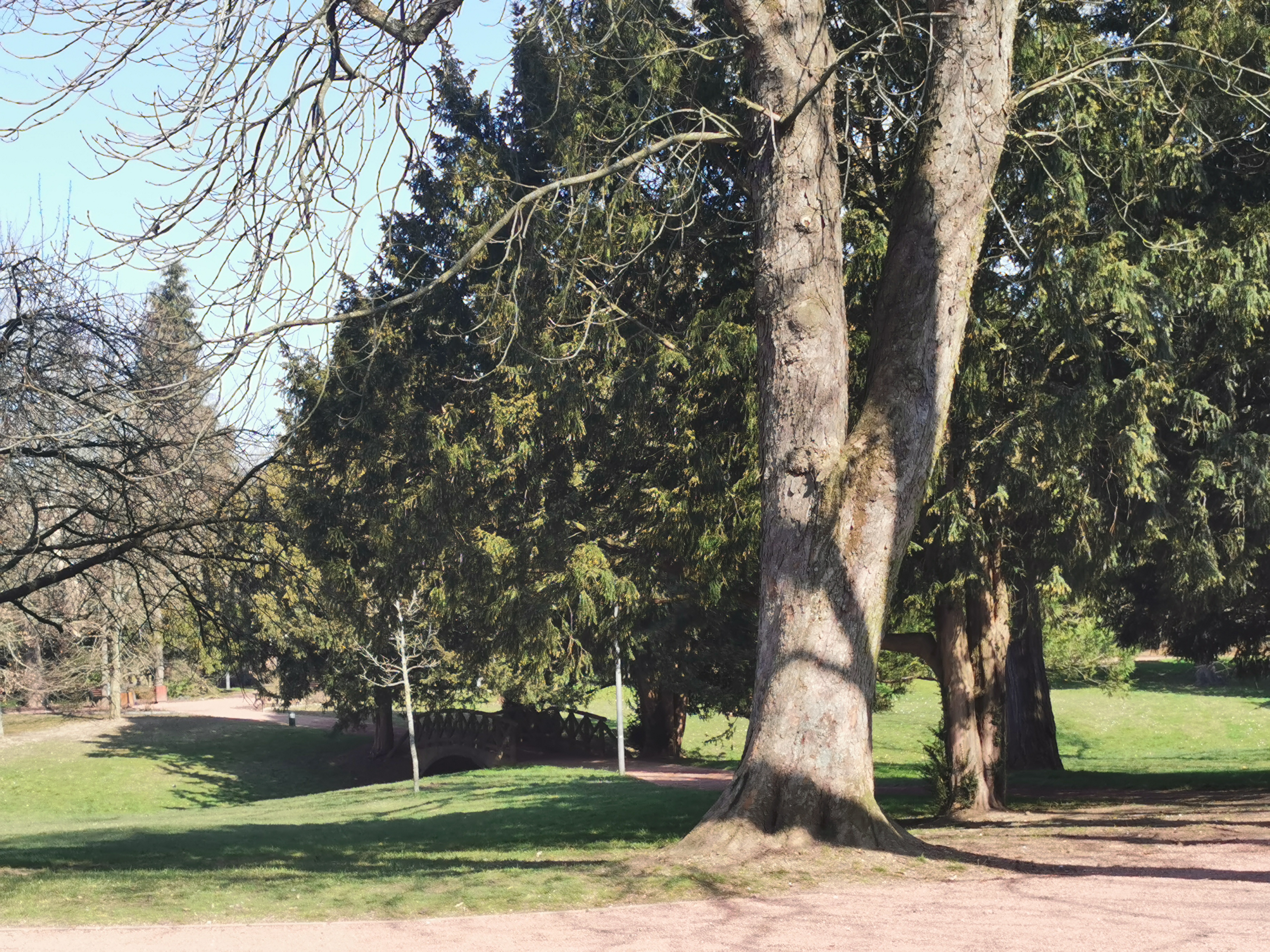 Photo n° 17 de l'avis de Phidis.a fait le 27/04/2021 à 11:28