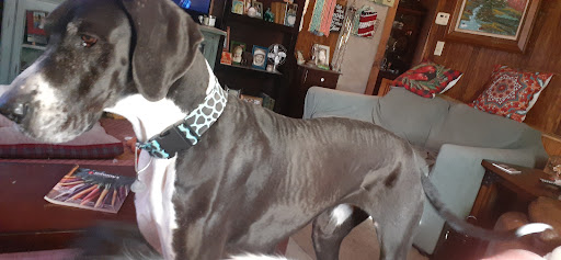 Probst Veterinary Clinic