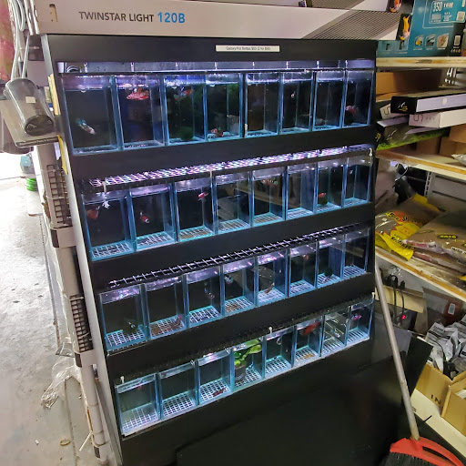 Aquarium Shop «Total Fish & Pets», reviews and photos, 137 Valley Blvd, Alhambra, CA 91801, USA