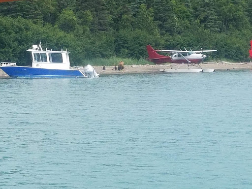 National Park «Katmai National Park and Preserve», reviews and photos