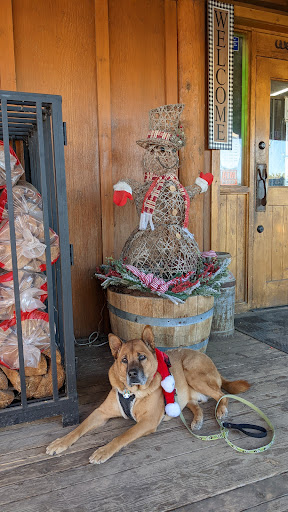 Grocery Store «Out West General Store», reviews and photos, 17121 W Glendale Ave, Waddell, AZ 85355, USA