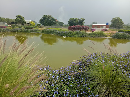 Google Maps image 26