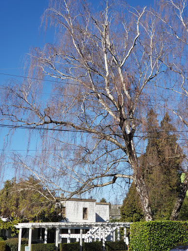 Monument «Statue of Lenin», reviews and photos, 3526 Fremont Pl N, Seattle, WA 98103, USA