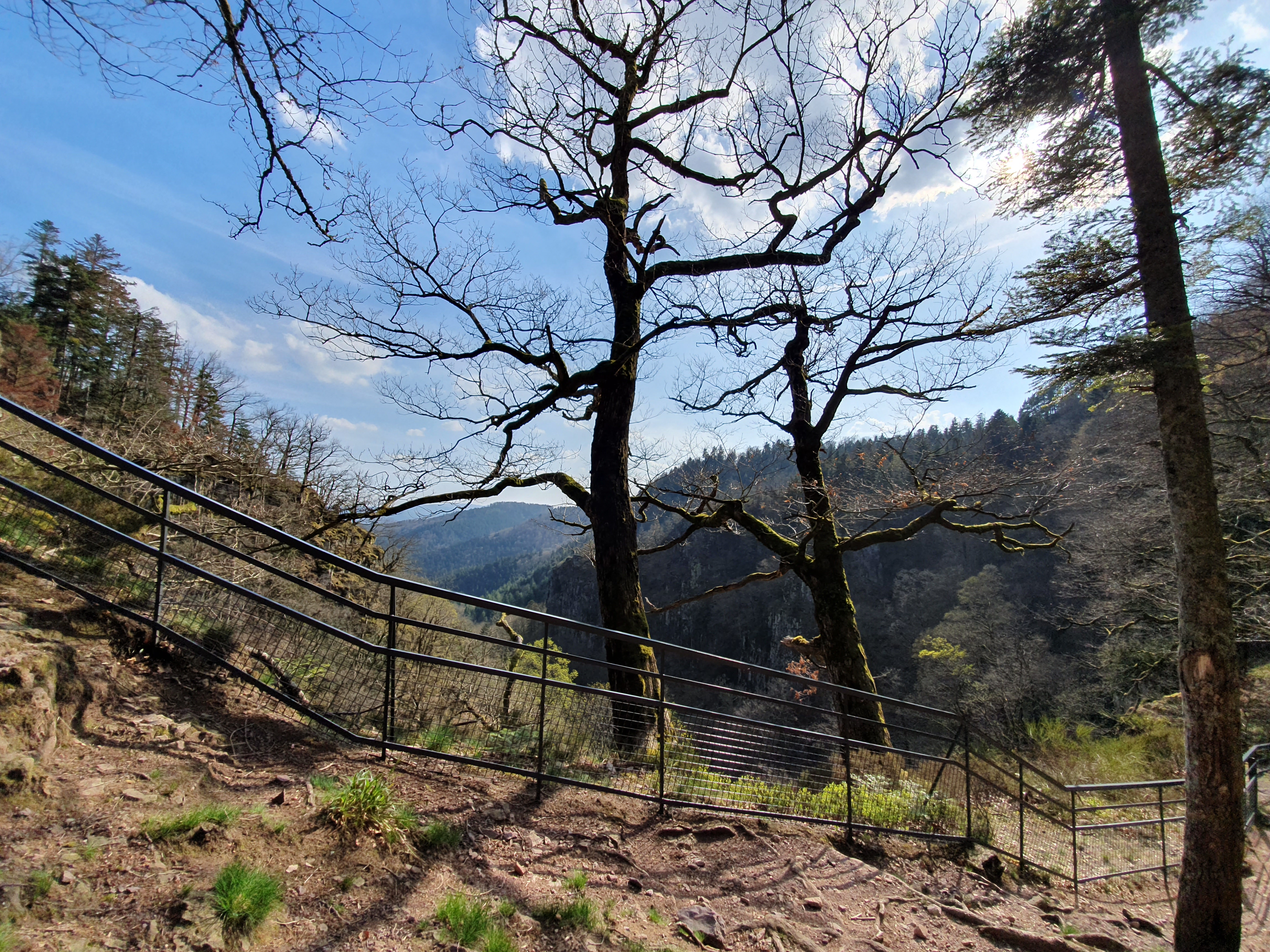Photo n° 4 de l'avis de Maria.n fait le 01/04/2019 à 03:52