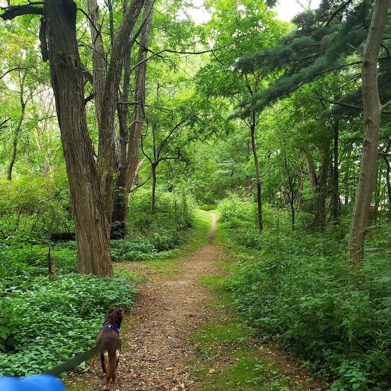 Glenns Valley Nature Park