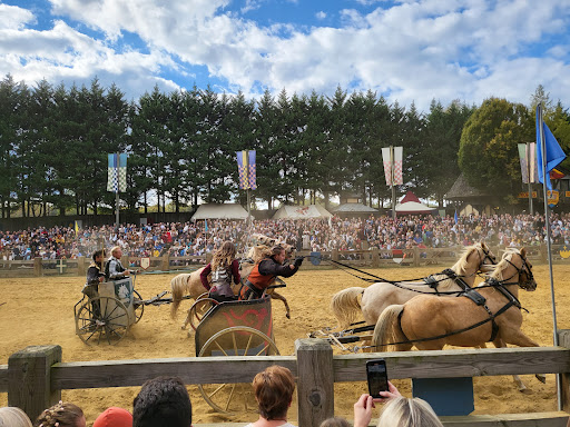 Fair «Maryland Renaissance Festival», reviews and photos, 1821 Crownsville Rd, Annapolis, MD 21401, USA